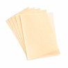Paper Favourites Vellum A4 Pastel Gold 100g (5pcs) (PFSS913)