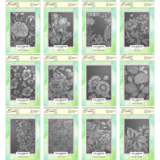 Lisa Horton Crafts A Year In Bloom 2026 Set of 12 5x7 Inch 3D Embossing Folders (LHCEF291)