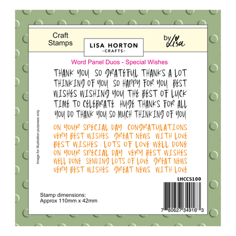 Lisa Horton Crafts Word Panel Duos Stamps Special Wishes (LHCCS100)