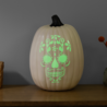 Cricut Glow-in-the-Dark 12x24 Inch Vinyl Removable (2011641)