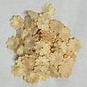 Reprint Paper Flowers Creme (100pcs) (FL016)