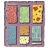 Sizzix Thinlits Die Set w/Clear Stamps Viewfinder (2+6pcs) by Seth Apter (667054)