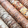 Craft Consortium Essential Craft Papers 6x6 Inch Paper Pad Brick Textures 2 (CCEPAD042B) Craft Consortium Essential Craft Papers 6x6 Inch Paper Pad Brick Textures 2 (CCEPAD042B)