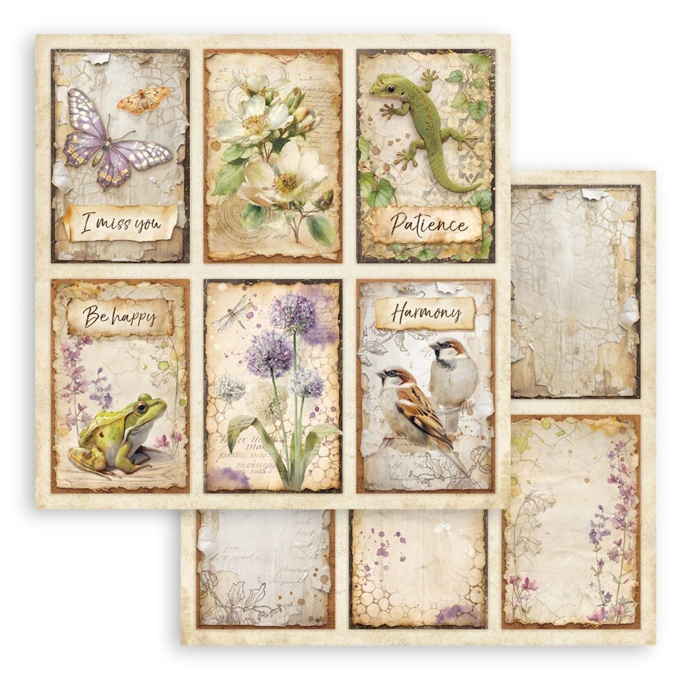 Stamperia All Around 12x12 Inch Paper Sheet 6 Cards (10pcs) (SBB1149) Stamperia All Around 12x12 Inch Paper Sheet 6 Cards (10pcs) (SBB1149)