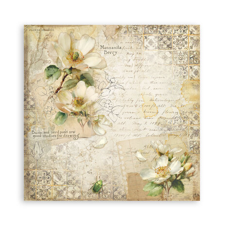 Stamperia All Around 12x12 Inch Paper Pack (Single Face) (SBBXLB37)