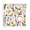 Stamperia All Around 12x12 Inch Paper Pack (Single Face) (SBBXLB37)