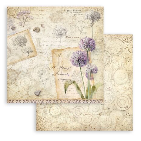 Stamperia All Around 8x8 Inch Paper Pack (SBBS143)
