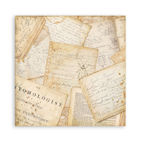 Stamperia All Around 8x8 Inch Paper Pack (Single Face) (SBBSXB25) Stamperia All Around 8x8 Inch Paper Pack (Single Face) (SBBSXB25)
