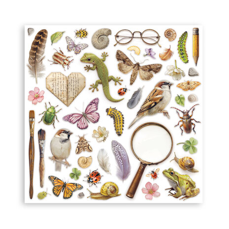 Stamperia All Around 8x8 Inch Paper Pack (Single Face) (SBBSXB25) Stamperia All Around 8x8 Inch Paper Pack (Single Face) (SBBSXB25)
