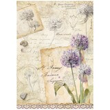 Stamperia All Around A4 Rice Paper Allium (6pcs) (DFSA41122)