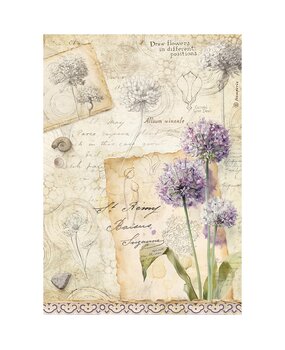 Stamperia All Around A4 Rice Paper Allium (6pcs) (DFSA41122)