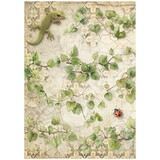 Stamperia All Around A4 Rice Paper Ivy (6pcs) (DFSA41121)