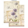 Stamperia All Around Junk Journal Stickers, Backgrounds, Cut-Outs (SBJK20) Stamperia All Around Junk Journal Stickers, Backgrounds, Cut-Outs (SBJK20)