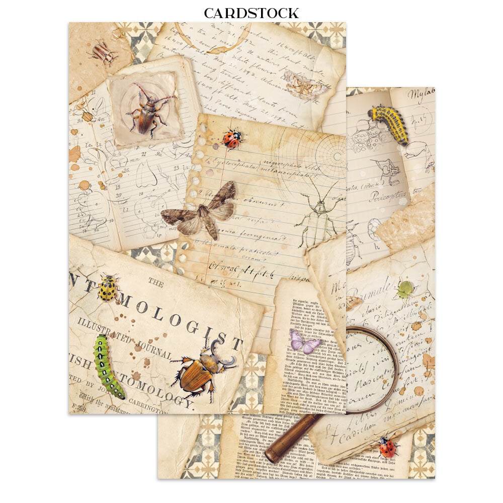 Stamperia All Around Junk Journal Stickers, Backgrounds, Cut-Outs (SBJK20) Stamperia All Around Junk Journal Stickers, Backgrounds, Cut-Outs (SBJK20)