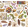 Stamperia All Around Die Cuts Assorted (DFLDC133)