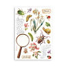 Stamperia All Around A5 Washi Pad (8pcs) (SBW33) Stamperia All Around A5 Washi Pad (8pcs) (SBW33)