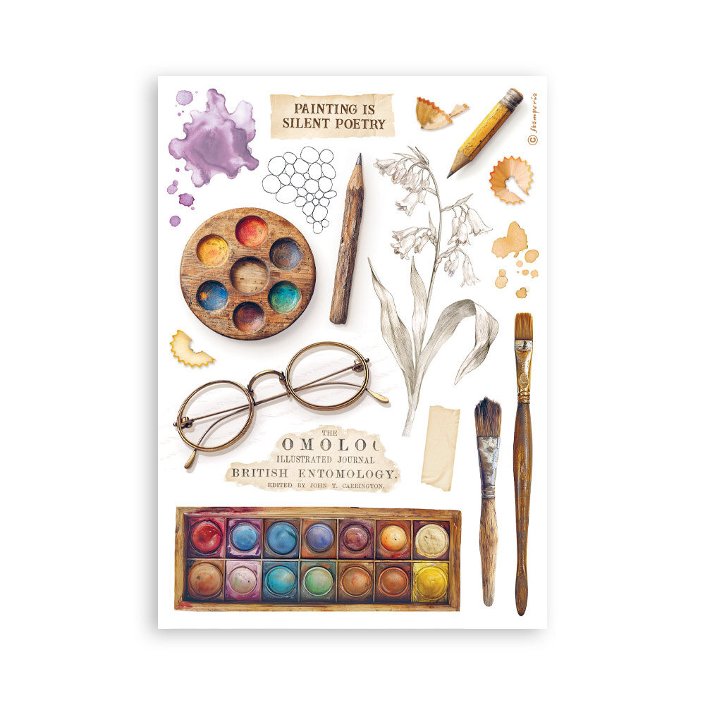 Stamperia All Around A5 Washi Pad (8pcs) (SBW33) Stamperia All Around A5 Washi Pad (8pcs) (SBW33)