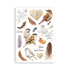 Stamperia All Around A5 Washi Pad (8pcs) (SBW33) Stamperia All Around A5 Washi Pad (8pcs) (SBW33)