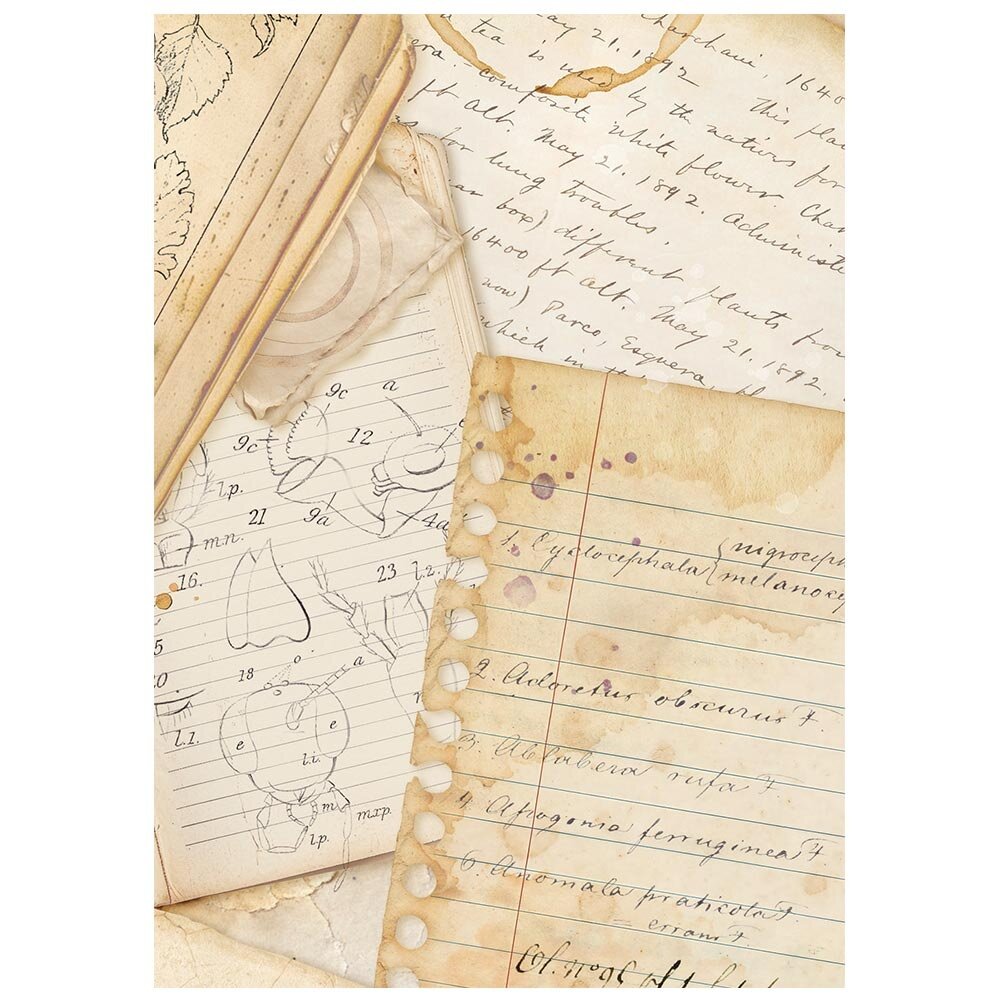 Stamperia All Around A6 Rice Paper Backgrounds Selection (8pcs) (DFSAK6054)