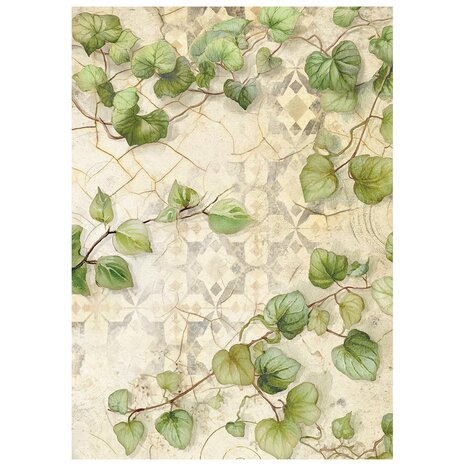Stamperia All Around A6 Rice Paper Backgrounds Selection (8pcs) (DFSAK6054)