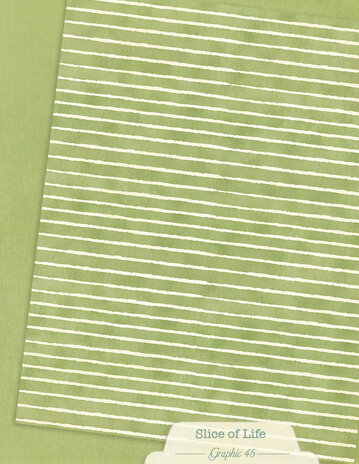 Graphic 45 Slice of Life 8,5x11 Inch Patterns & Solids Pack (4503231) Graphic 45 Slice of Life 8,5x11 Inch Patterns & Solids Pack (4503231)