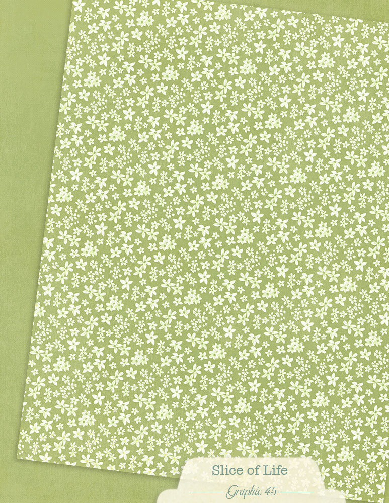 Graphic 45 Slice of Life 8,5x11 Inch Patterns & Solids Pack (4503231) Graphic 45 Slice of Life 8,5x11 Inch Patterns & Solids Pack (4503231)
