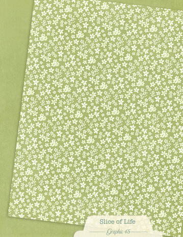 Graphic 45 Slice of Life 8,5x11 Inch Patterns & Solids Pack (4503231) Graphic 45 Slice of Life 8,5x11 Inch Patterns & Solids Pack (4503231)