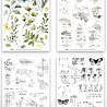 Arden Creative Studio Garden Chronicles Essentials 6x8 Inch Rub-On Transfer Set by Katie Pertiet (ACSRO0010)