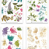Arden Creative Studio Garden Chronicles 6x8 Inch Rub-On Transfer Set by Katie Pertiet (ACSRO0009)