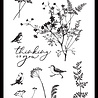 Arden Creative Studio Maker Series 4x8 Inch Clear Stamp Set Fine Ferns by Katie Pertiet (ACSCS0030)