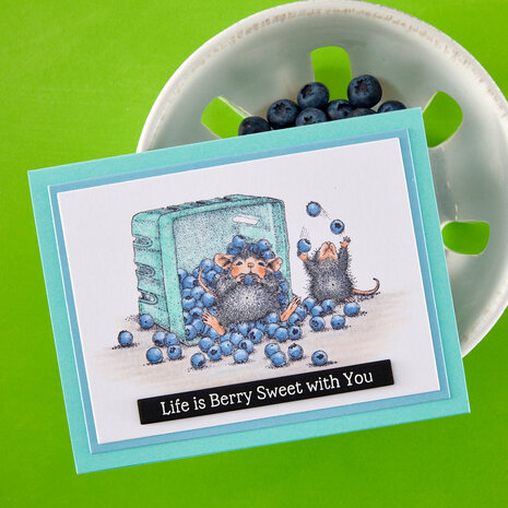 Spellbinders Sunflower Walk Cling Rubber Stamp Set Blueberry Buddies by House-Mouse Designs (RSC-073)