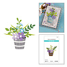 Spellbinders Summertime Etched Dies Garden Planter by Lisa Horton (S4-1515) Spellbinders Summertime Etched Dies Garden Planter by Lisa Horton (S4-1515)