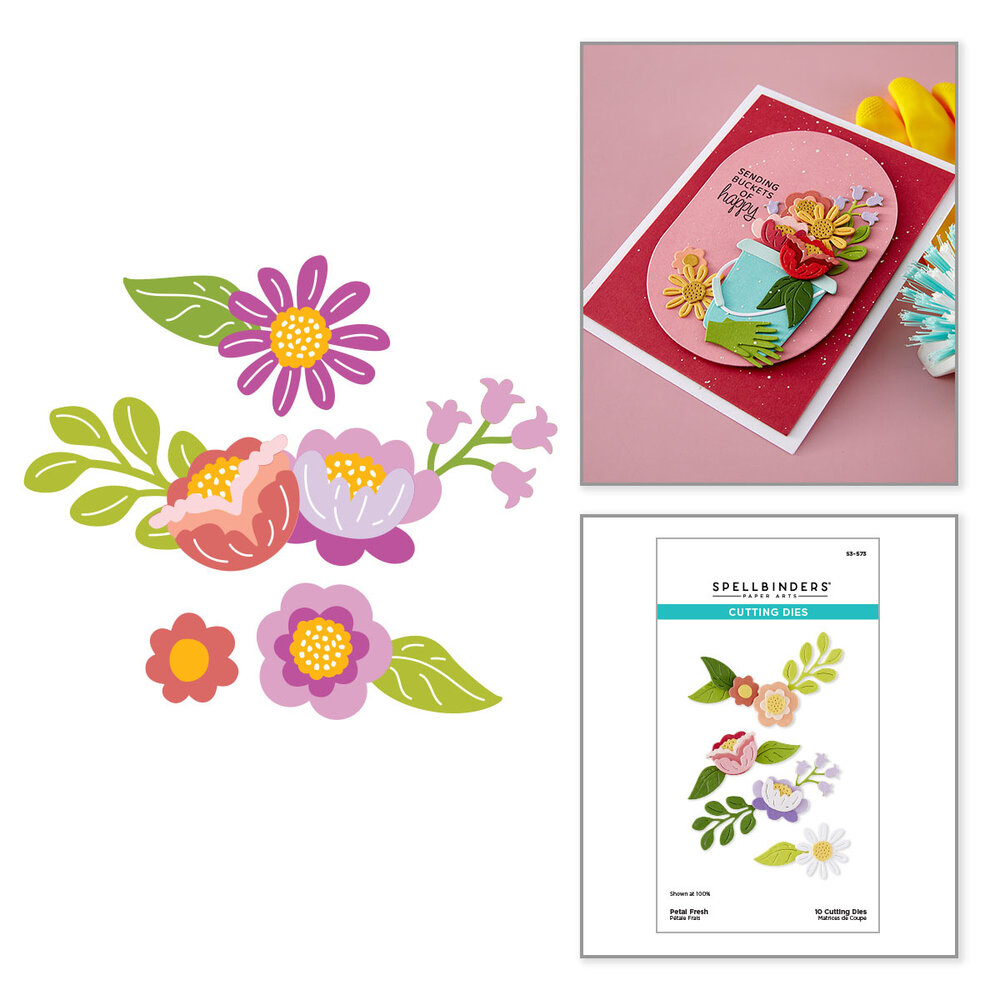 Spellbinders Shiny New Day Etched Dies Petal Fresh by Spellbinders (S3-573) Spellbinders Shiny New Day Etched Dies Petal Fresh by Spellbinders (S3-573)