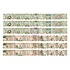 Homegrown Tickets (36pcs) by The 3 Girls Tale (683504)