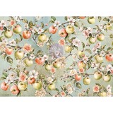 Prima Marketing Homegrown A3 Decoupage by The 3 Girls Tale (683573)