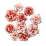 Prima Marketing Homegrown Flowers Blush Harvest (10pcs) by The 3 Girls Tale (683641)