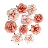 Prima Marketing Homegrown Flowers Blush Harvest (10pcs) by The 3 Girls Tale (683641)