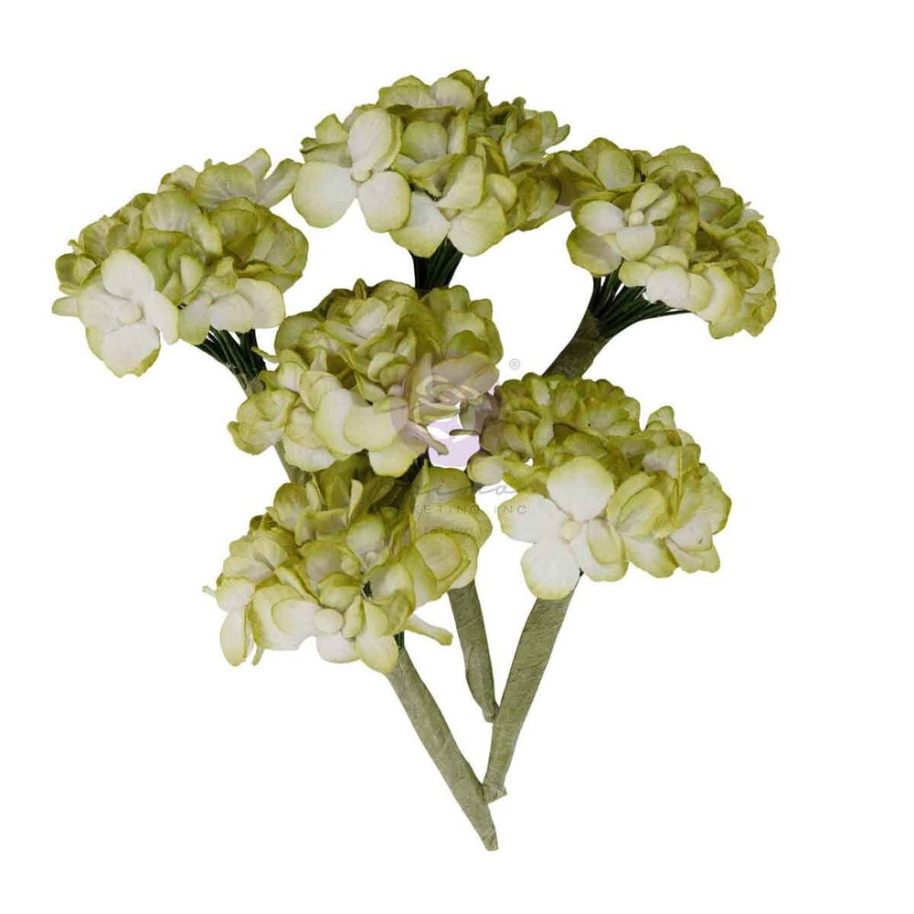 Prima Marketing Homegrown Flowers Garden Hydrangea Mist (5pcs) by The 3 Girls Tale (683658)