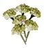 Homegrown Flowers Garden Hydrangea Mist (5pcs) by The 3 Girls Tale (683658)