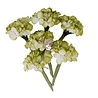 Prima Marketing Homegrown Flowers Garden Hydrangea Mist (5pcs) by The 3 Girls Tale (683658)