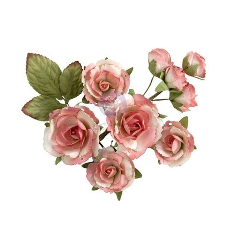 Prima Marketing Homegrown Flowers Garden Rose Blush (10pcs) by The 3 Girls Tale (683672)