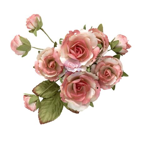 Prima Marketing Homegrown Flowers Garden Rose Blush (10pcs) by The 3 Girls Tale (683672)