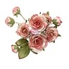 Prima Marketing Homegrown Flowers Garden Rose Blush (10pcs) by The 3 Girls Tale (683672)