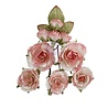 Prima Marketing Homegrown Flowers Garden Rose Blush (10pcs) by The 3 Girls Tale (683672)