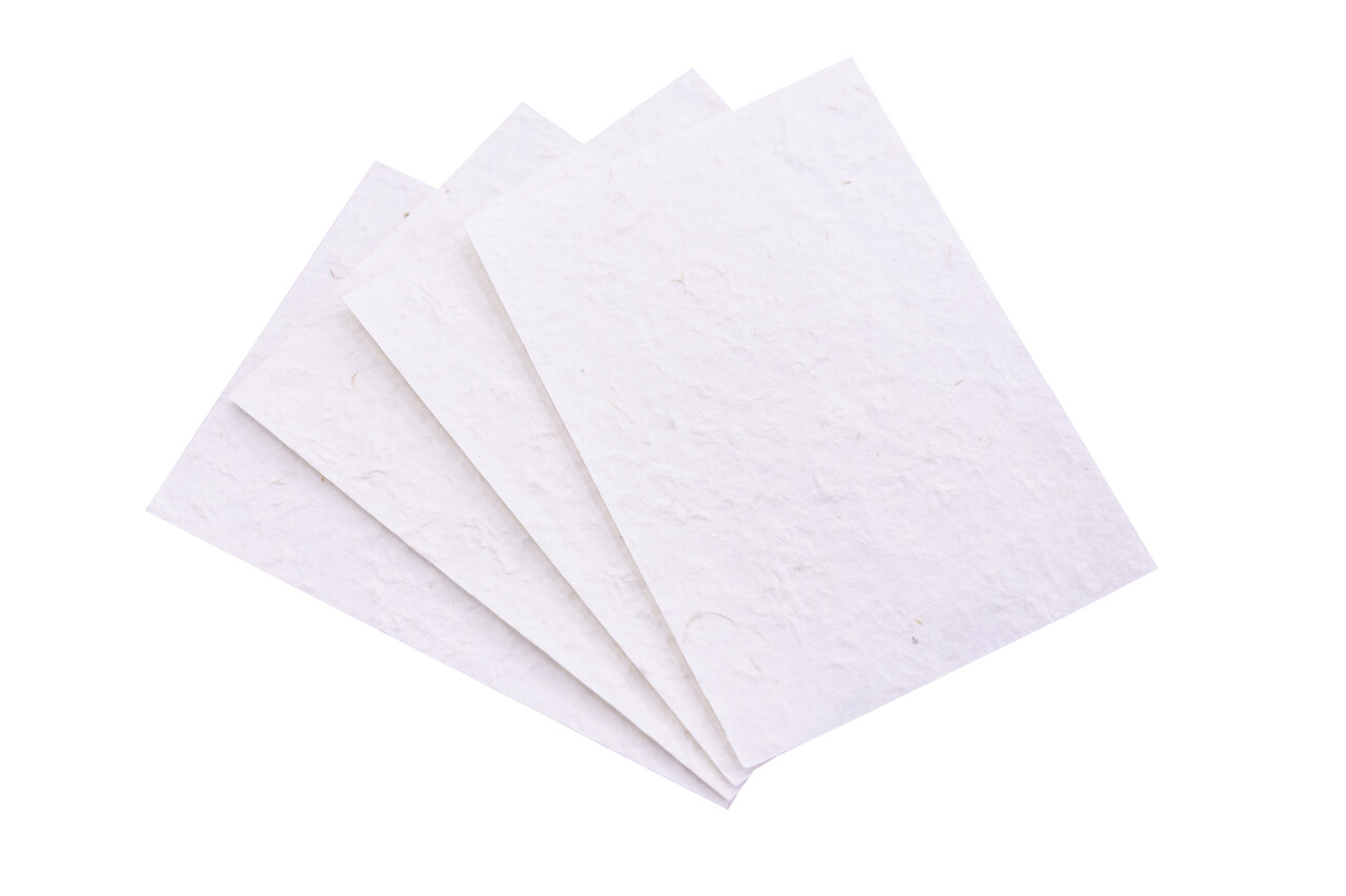 Crafter's Companion Flower Press 5x7 Inch Paper Pack Handmade (CC-HAND-PAP5X7) Crafter's Companion Flower Press 5x7 Inch Paper Pack Handmade (CC-HAND-PAP5X7)