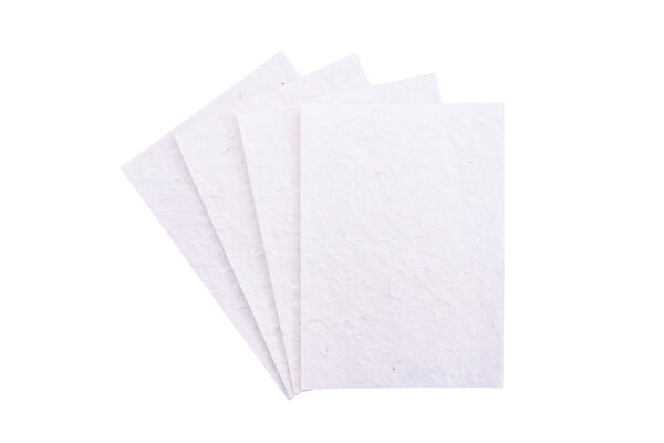 Crafter's Companion Flower Press 5x7 Inch Paper Pack Handmade (CC-HAND-PAP5X7) Crafter's Companion Flower Press 5x7 Inch Paper Pack Handmade (CC-HAND-PAP5X7)