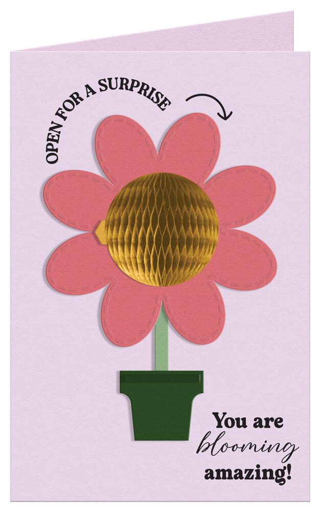 Crafter's Companion Honeycomb Die & Stamp Message Reveal (CC-STD-HCOMB-MR) Crafter's Companion Honeycomb Die & Stamp Message Reveal (CC-STD-HCOMB-MR)
