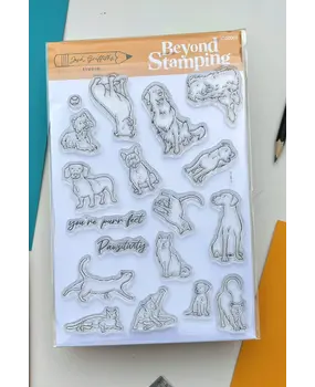 Beyond Stamping Pawsitivity Photopolymer Stamp Set by Josh Griffiths Studios (JGS0005)