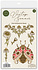 Vintage Summer A6 Clear Photopolymer Stamps Ladybug & Daisy by Olena Kovalova (CCSTMP102) Vintage Summer A6 Clear Photopolymer Stamps Ladybug & Daisy by Olena Kovalova (CCSTMP102)