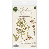 Craft Consortium Vintage Summer A6 Clear Photopolymer Stamps Hummingbird by Olena Kovalova (CCSTMP103)